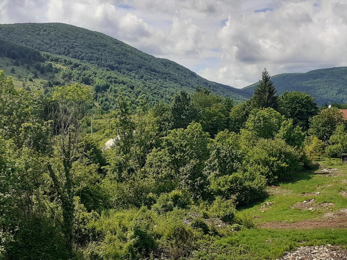 Guesthouse Blazenka Hodak Selište Drežničko Kültér fotó