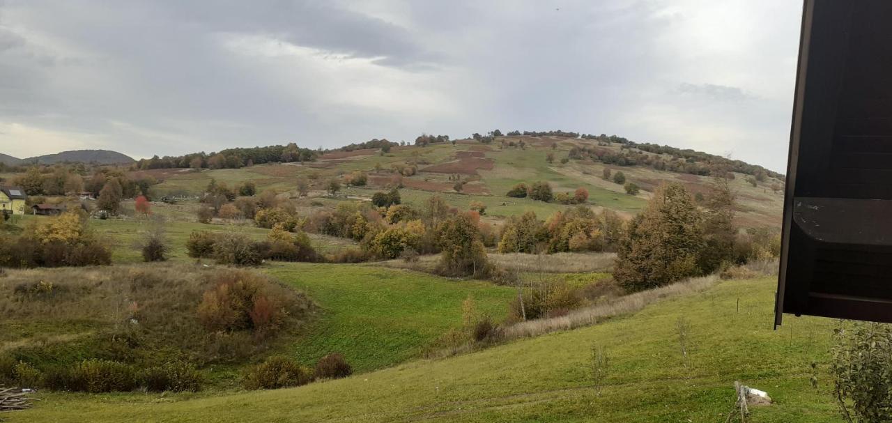 Guesthouse Blazenka Hodak Selište Drežničko Kültér fotó