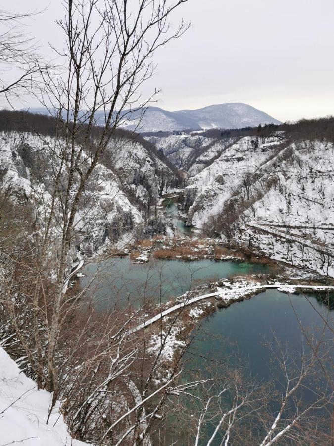 Guesthouse Blazenka Hodak Selište Drežničko Kültér fotó