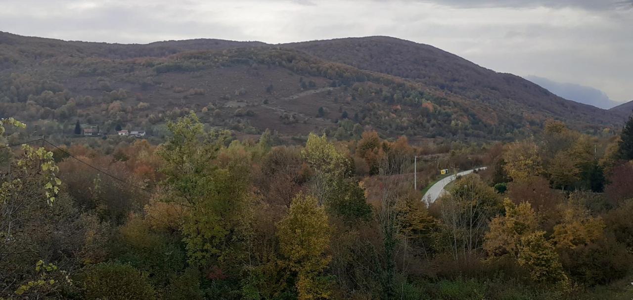 Guesthouse Blazenka Hodak Selište Drežničko Kültér fotó