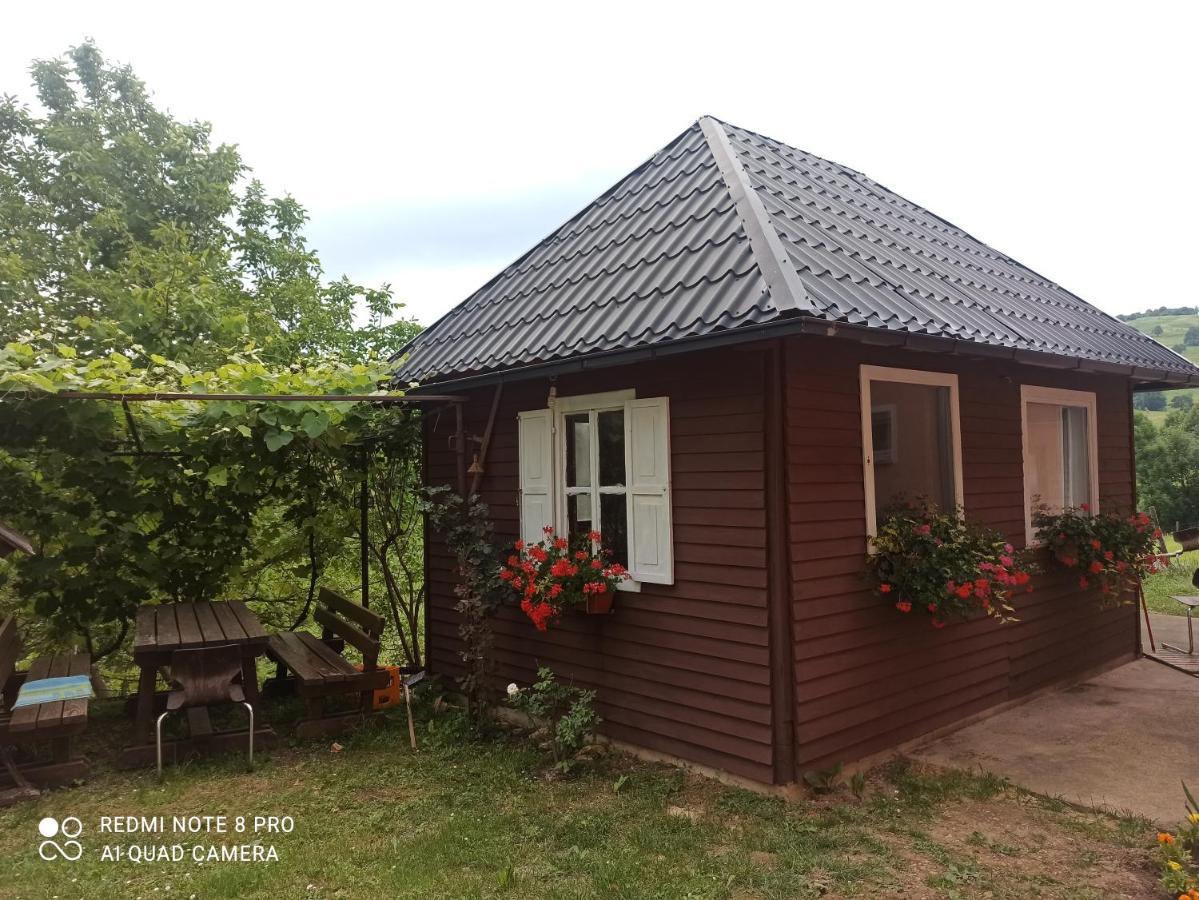 Guesthouse Blazenka Hodak Selište Drežničko Kültér fotó