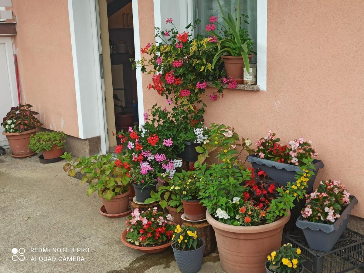 Guesthouse Blazenka Hodak Selište Drežničko Kültér fotó
