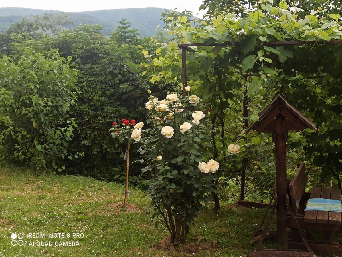 Guesthouse Blazenka Hodak Selište Drežničko Kültér fotó