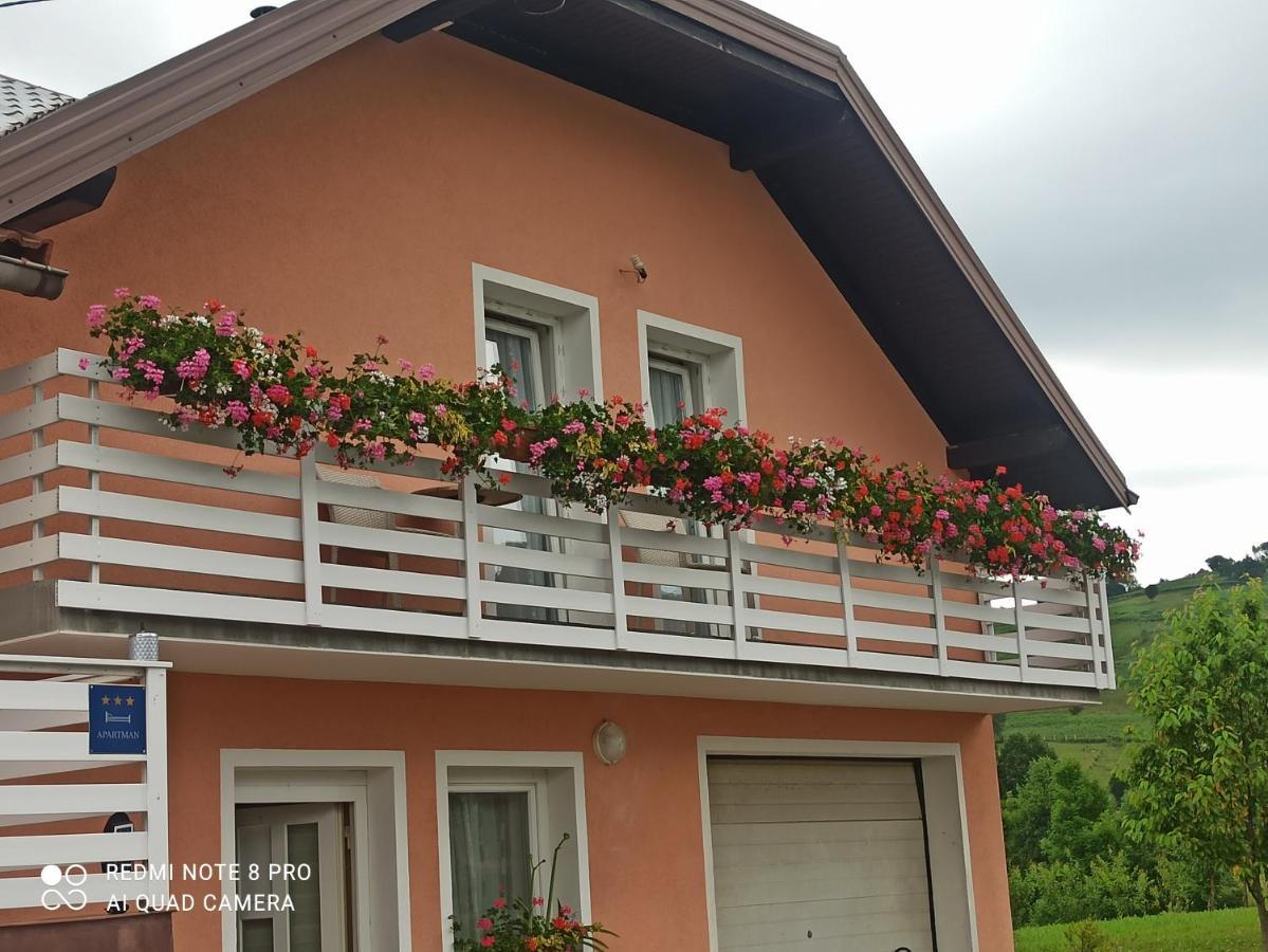 Guesthouse Blazenka Hodak Selište Drežničko Kültér fotó