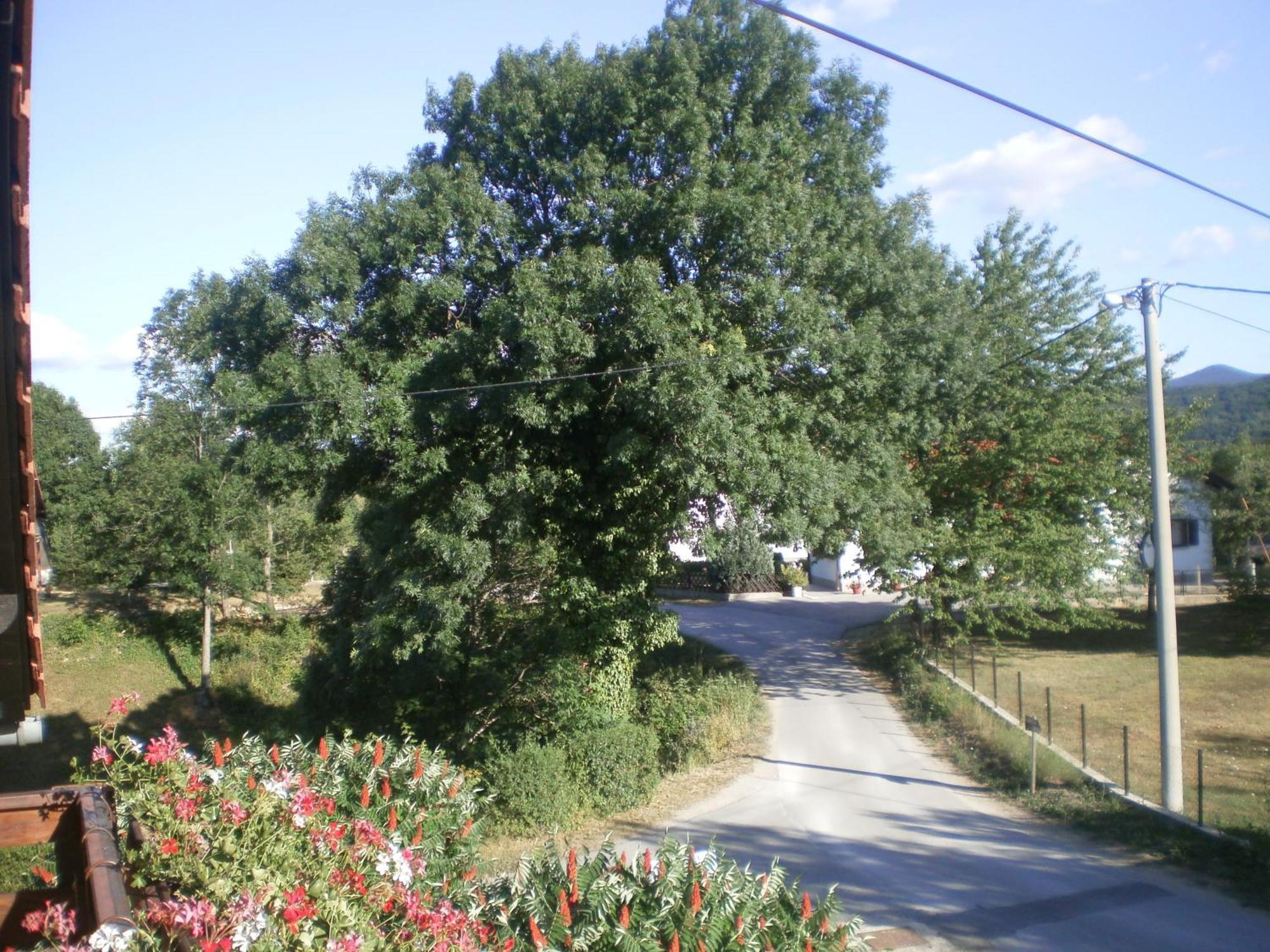 Guesthouse Blazenka Hodak Selište Drežničko Kültér fotó