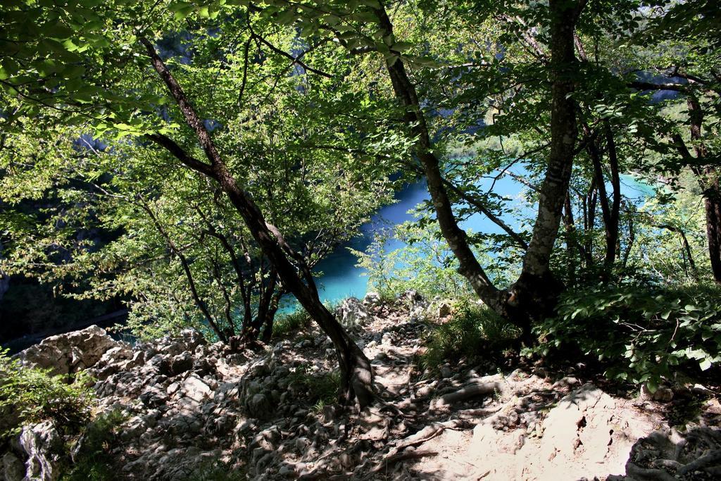 Guesthouse Blazenka Hodak Selište Drežničko Kültér fotó