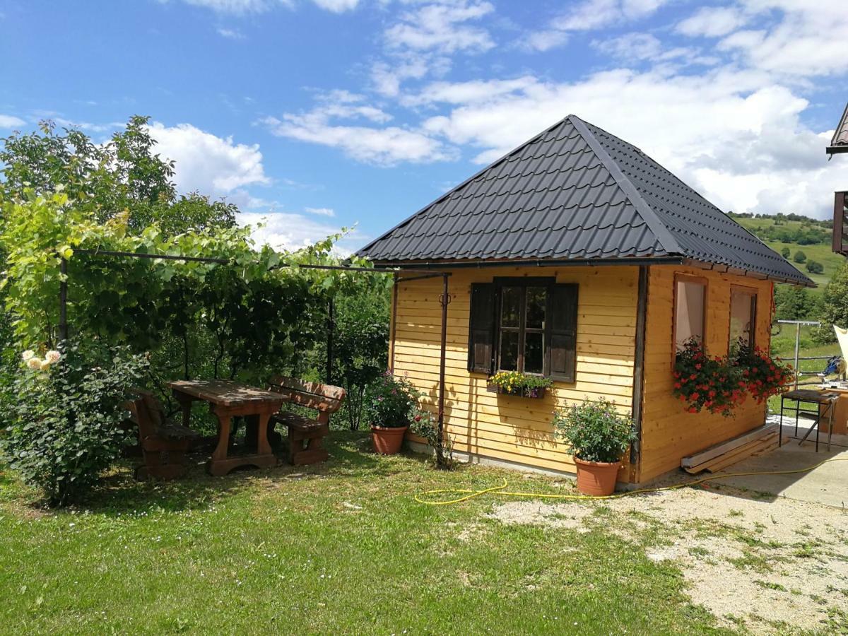 Guesthouse Blazenka Hodak Selište Drežničko Kültér fotó