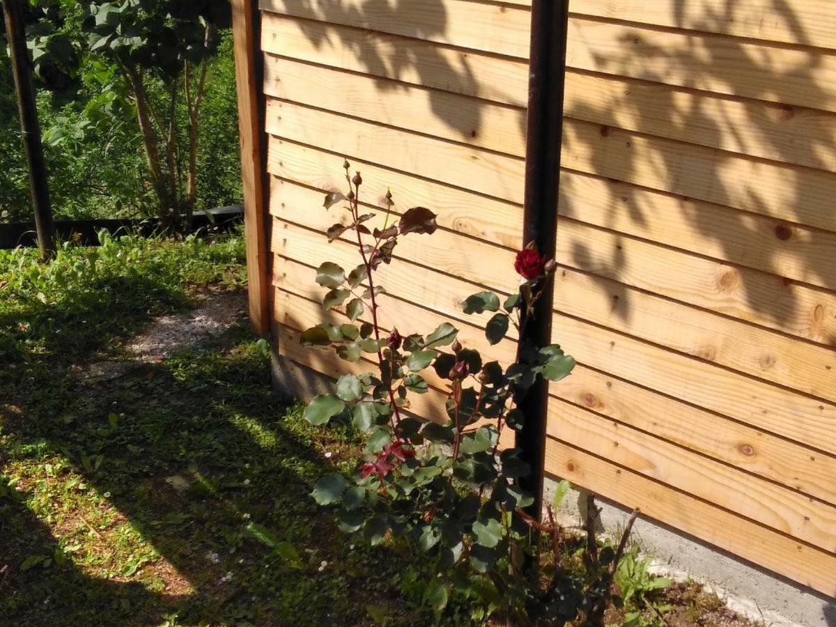 Guesthouse Blazenka Hodak Selište Drežničko Kültér fotó