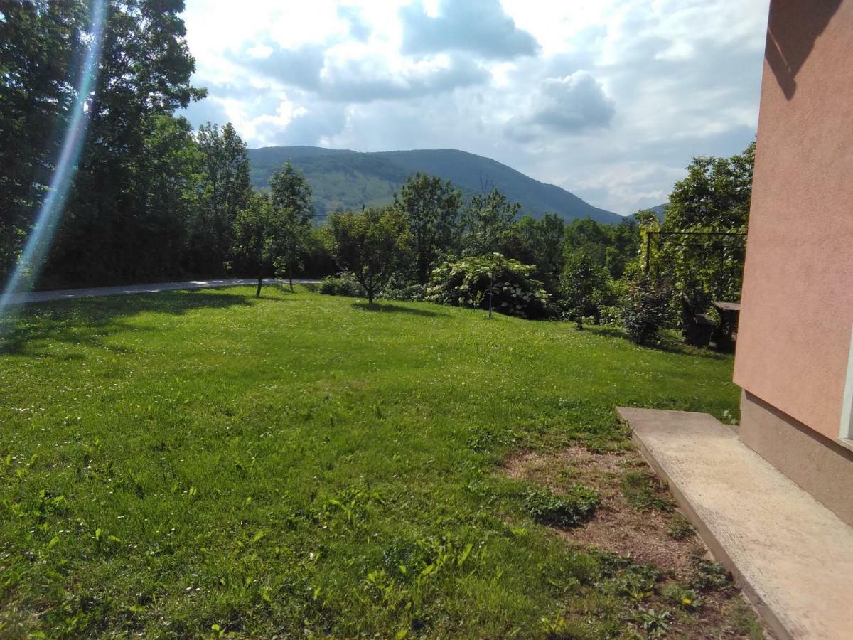 Guesthouse Blazenka Hodak Selište Drežničko Kültér fotó
