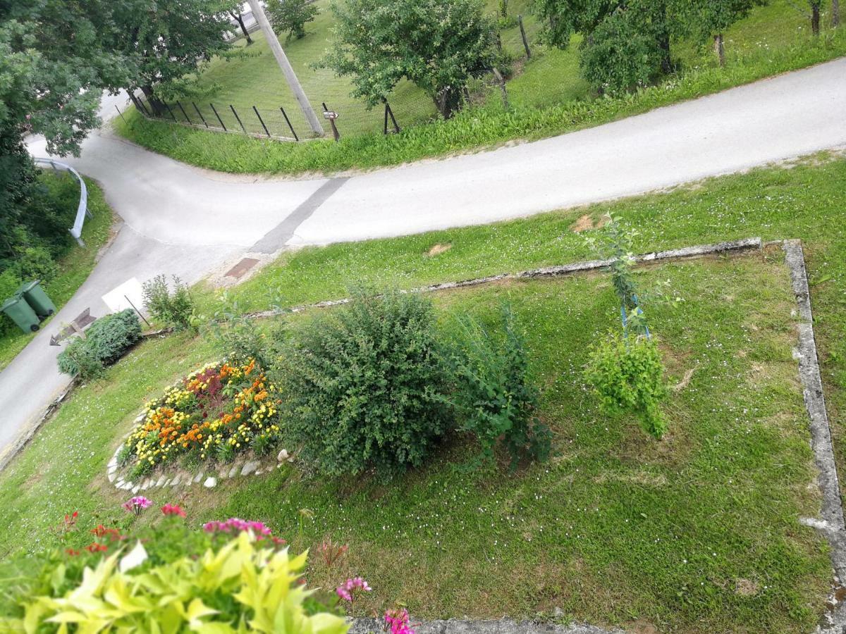 Guesthouse Blazenka Hodak Selište Drežničko Kültér fotó