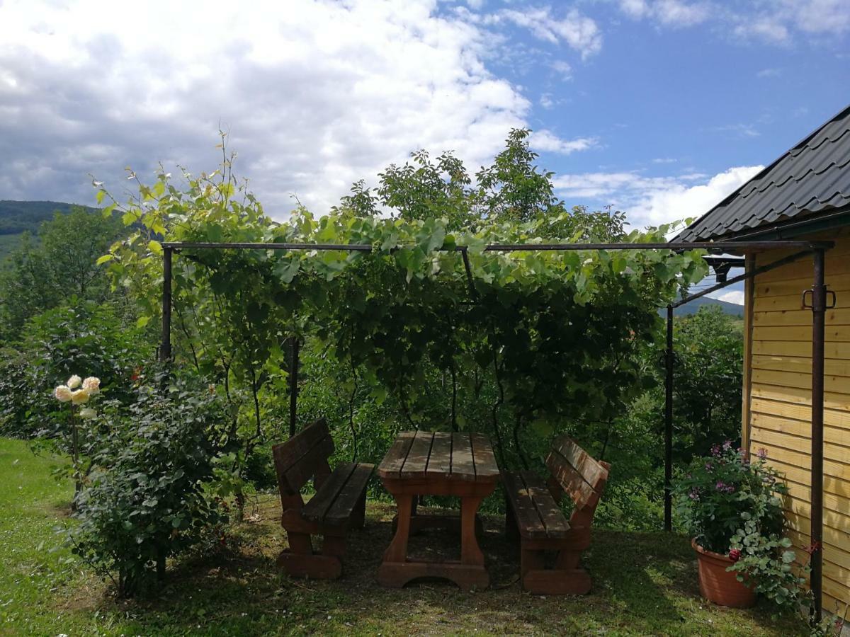 Guesthouse Blazenka Hodak Selište Drežničko Kültér fotó