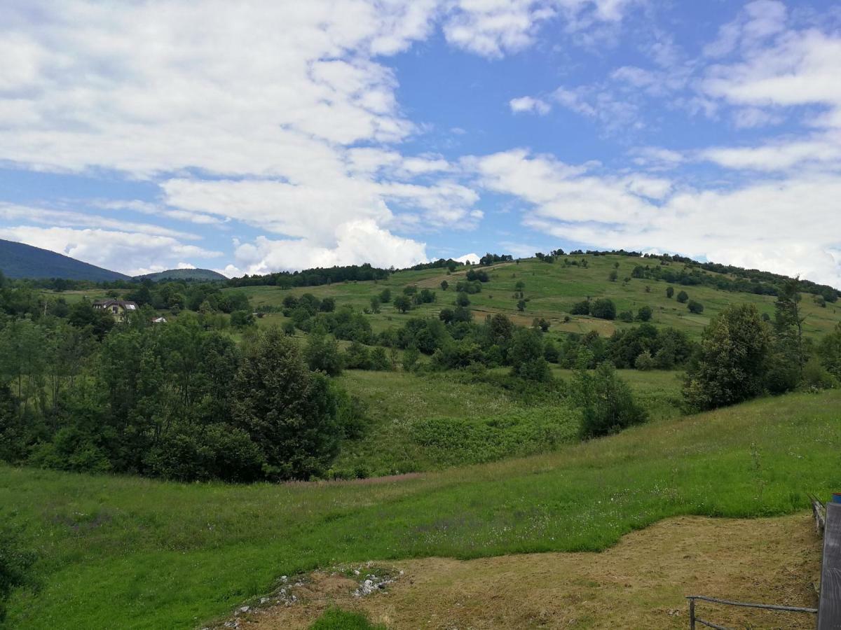 Guesthouse Blazenka Hodak Selište Drežničko Kültér fotó
